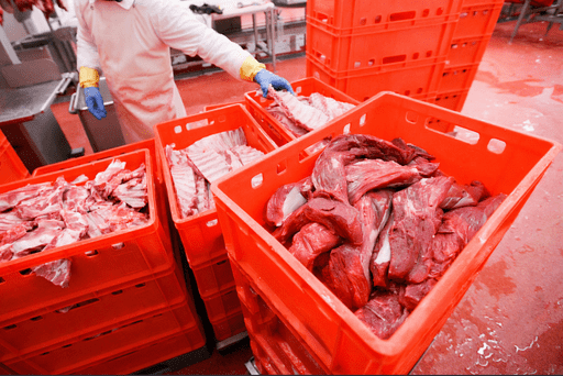 Reusable Food Packaging Solutions | DW Reusables Food-safe reusable packaging solutions designed for demanding food environments. Reliable, durable and tailored to efficient handling and transport flows.
